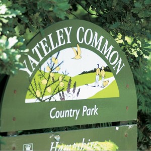 Yateley Common near Blackbushe Park, Yateley, Hampshire