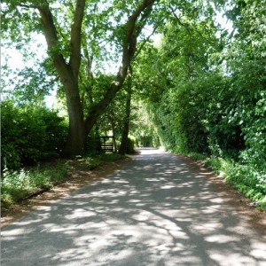 Quiet, secluded approach to Merrywood Park, Box Hill, Surrey