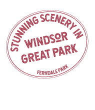 Everything Windsor Great Park has to offer, on the doorstep.