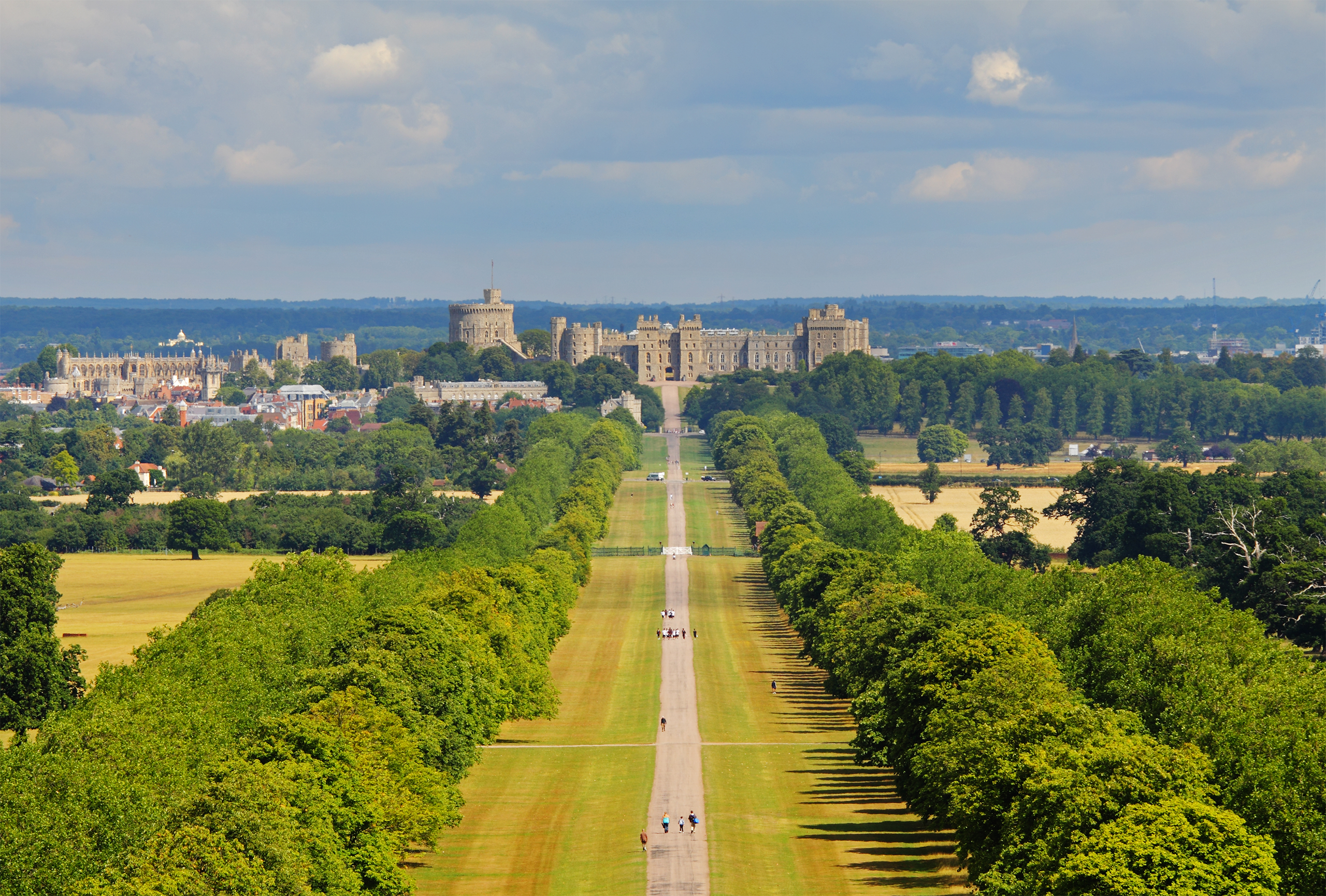 View of the Long Walk in Windsor Great Park near Ferndale Park